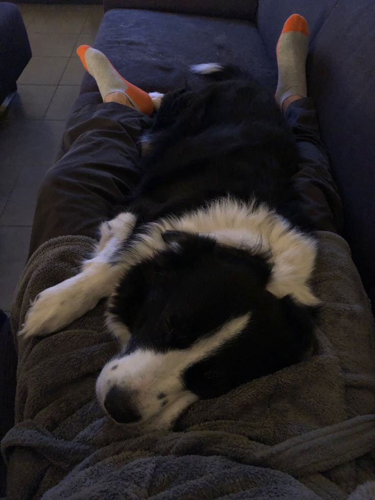 Bonjour à vous. Bon début de semaine. 

ps : ce monstre grandit trop vite à mon goût.