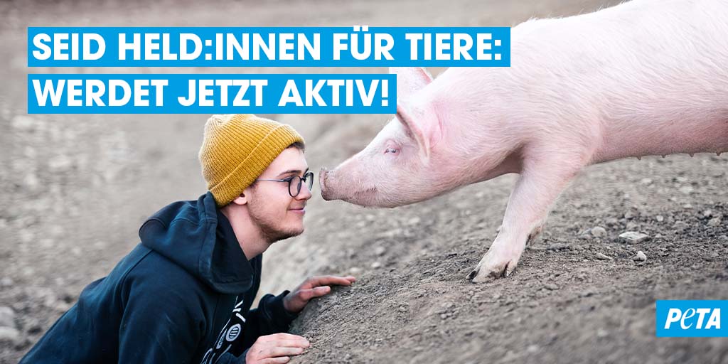 PETA Deutschland tweet media