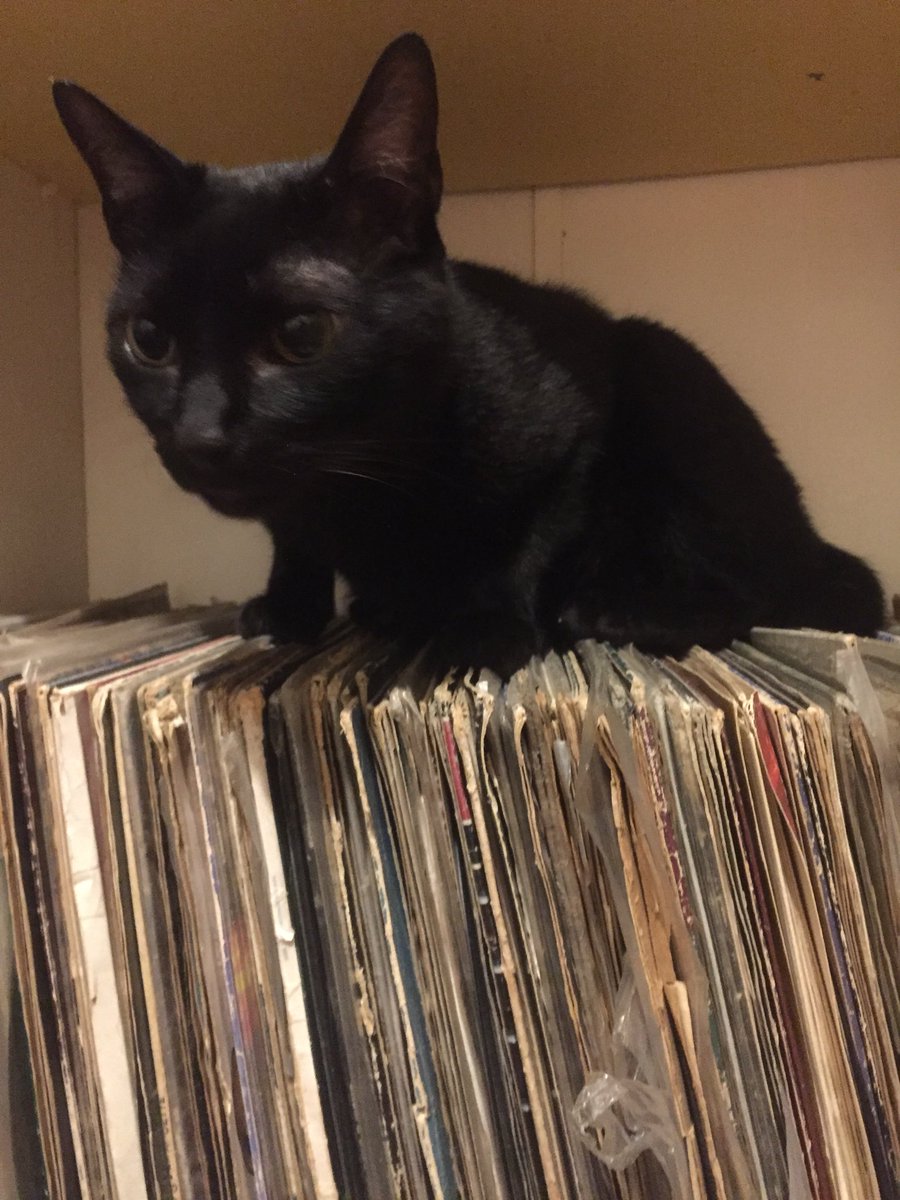 djfire_br's tweet image. 