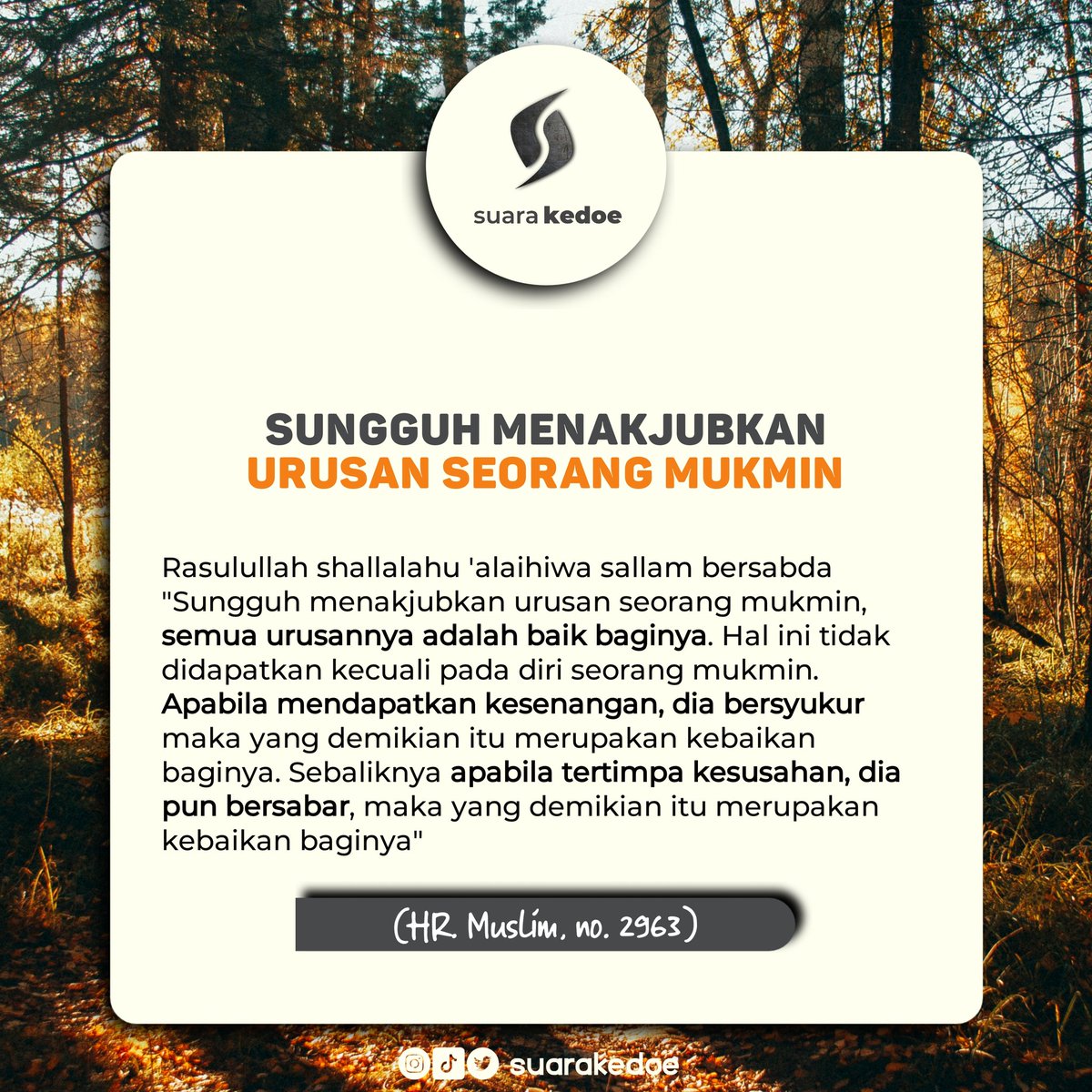suarakedoe's tweet photo. Begitu menakjubkan urusan seorang mukmin 😌
.
.
#suarakedoe
@suarakedoe @ikamawar_ @Reyza19914 @bedjo_reborn https://t.co/rlkDqnNxbY