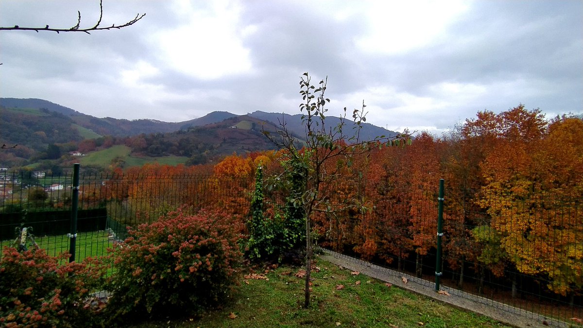 AngizEtxea's tweet photo. Otoño/UDAZKENA/Automne  #Sunbilla #visitnavarra #viajandoconmascotas #turismonavarra @Baztan_Bidasoa https://t.co/MqixSFz9wo