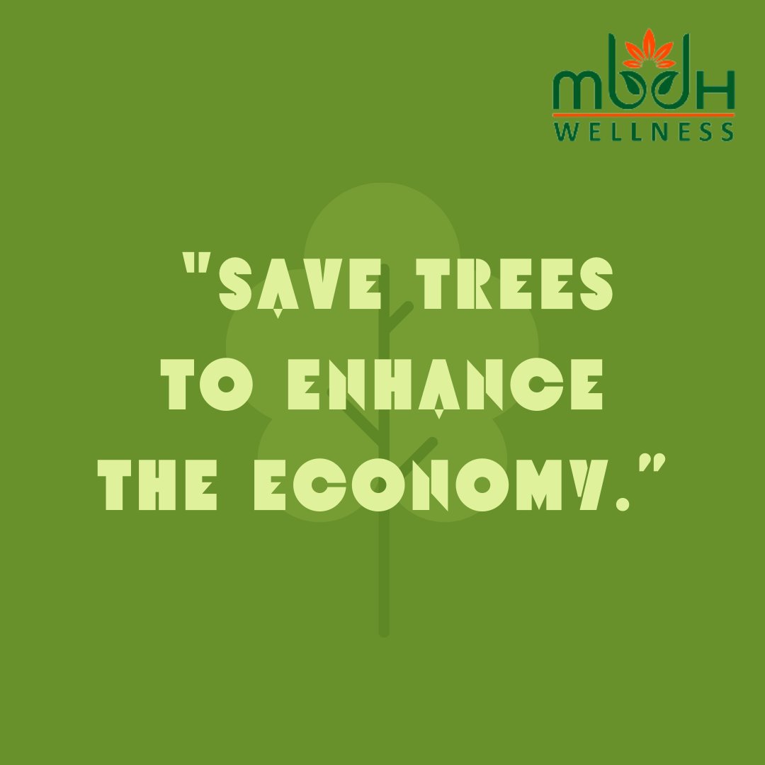 FoundationMbdh's tweet photo. Mark the words!✅
.
.
.
#saveenvironment #saveearth #gogreen #environment #nature #ecofriendly #savetrees #savenature https://t.co/h2aRk0QF62