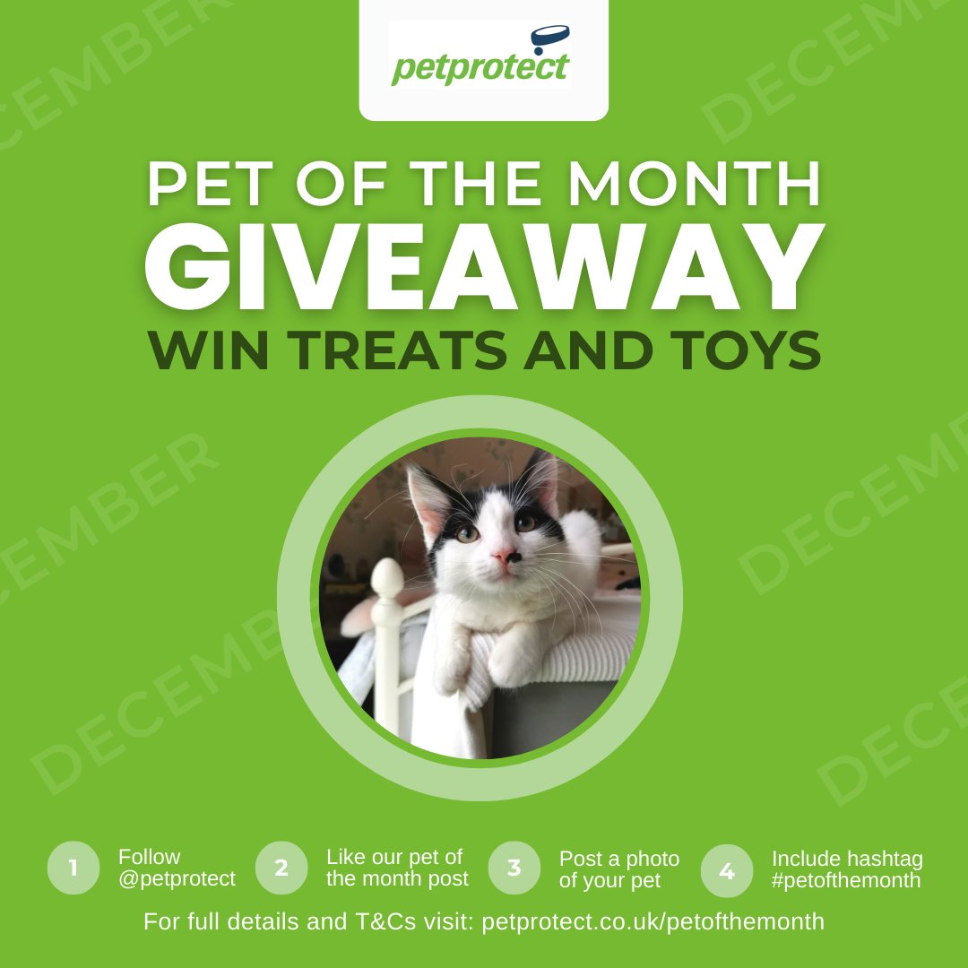 petprotect's tweet photo. Enter our December Pet of the Month prize draw on Facebook by sharing photos of your furry friends
#December #petofthemonth #prizedraw #petswinprizes #prizes #win #dogofthemonth #catofthemonth #competition #catlovers #doglovers #facebookcompetition #cutepets #mondaymorning https://t.co/Vd1ZlwOAqW