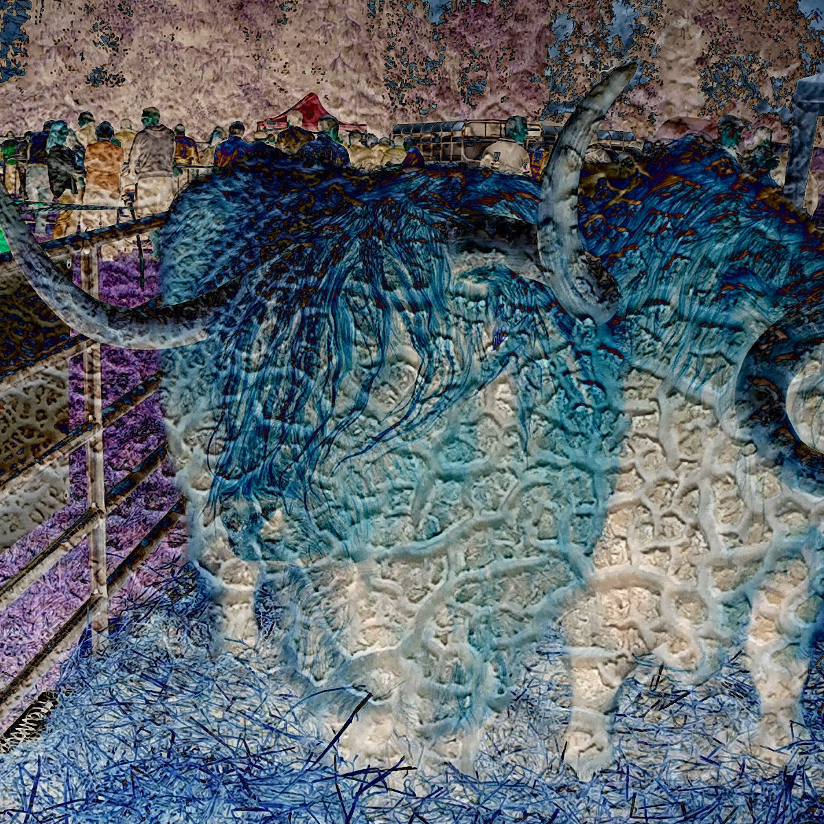 dlrArts's tweet photo. Have you seen the recent photographic art by Nasrin Golden posted to our social media channels in response to our Autumn/Winter 2022: Local Radicles?
Contribute by posting your creations + tag them #dlrLens and #dlrLens_LocalRadicles
More info:
https://t.co/dw92IrZQ99
@DLRCCC https://t.co/CCyWPYdPWC