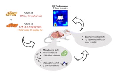 RSC Food Journals (@foodrsc) on Twitter photo #Saffron extract improves #anxiety related behaviour in a mouse model of low-grade inflammation through the modulation of the #microbiota and #gut derived metabolites
<a href="/PontifexMatthew/">Matthew G Pontifex</a>, <a href="/EmilyConnell05/">Emily Connell</a>, <a href="/nutrigenomics/">Michael Müller</a>, <a href="/DavidGaudout/">David Gaudout</a> & <a href="/dvauzour/">Dr David Vauzour</a> et al.
🔗 bit.ly/3VVg4Uh #Saffron extract improves #anxiety related behaviour in a mouse model of low-grade inflammation through the modulation of the #microbiota and #gut derived metabolites
<a href="/PontifexMatthew/">Matthew G Pontifex</a>, <a href="/EmilyConnell05/">Emily Connell</a>, <a href="/nutrigenomics/">Michael Müller</a>, <a href="/DavidGaudout/">David Gaudout</a> & <a href="/dvauzour/">Dr David Vauzour</a> et al.
🔗 bit.ly/3VVg4Uh