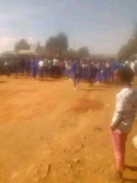 qunnamsiisasbaa's tweet photo. The students of Calalaqii, Darge and Catholic schools in Neqemte city are raising their voices for his people who are being displaced and dying by the Terrorist Nafxanya.#Oromoo_Revolution
#Stop_Oromoo_genocide
#Oromo_protest  @AP @UNHumanRights #OromoVoice #AbiyAhmedIsATyran https://t.co/w4qZnmS4nh