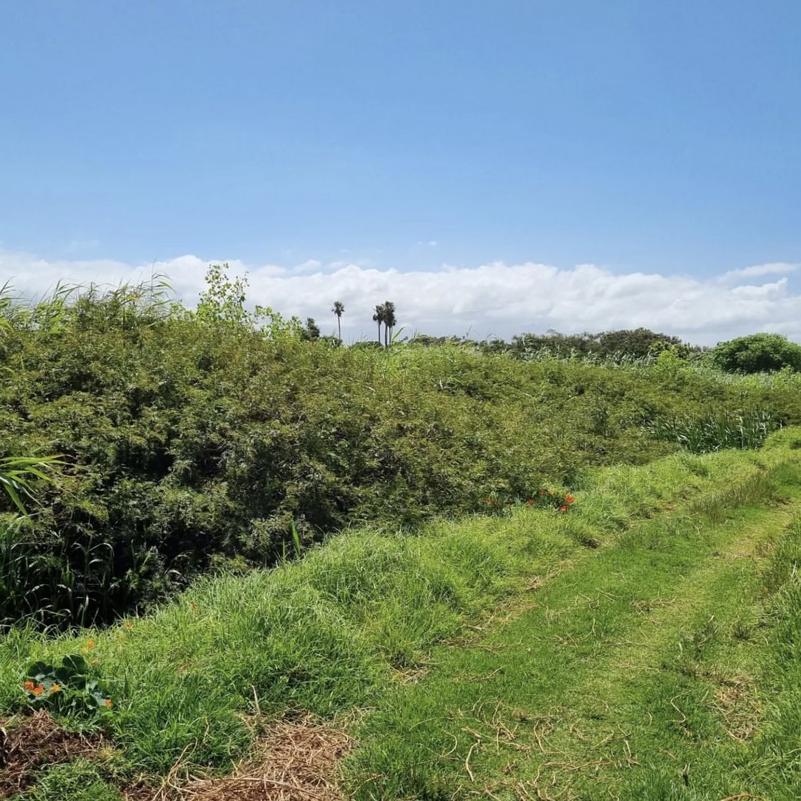 alexlansdowne tweet media