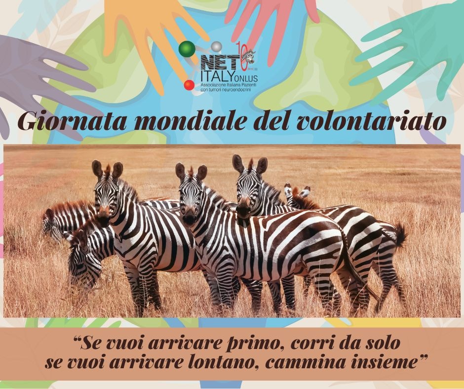 #giornatainternazionaledelvolontariato, per riconoscere l'importanza del lavoro, del tempo e delle capacità dei volontari di tutto il mondo. Per realizzare i nostri progetti abbiamo bisogno del tuo sostegno.
 👇

netitaly.net/member.html

#tumorineuroendocrini 

#letstalkaboutnets