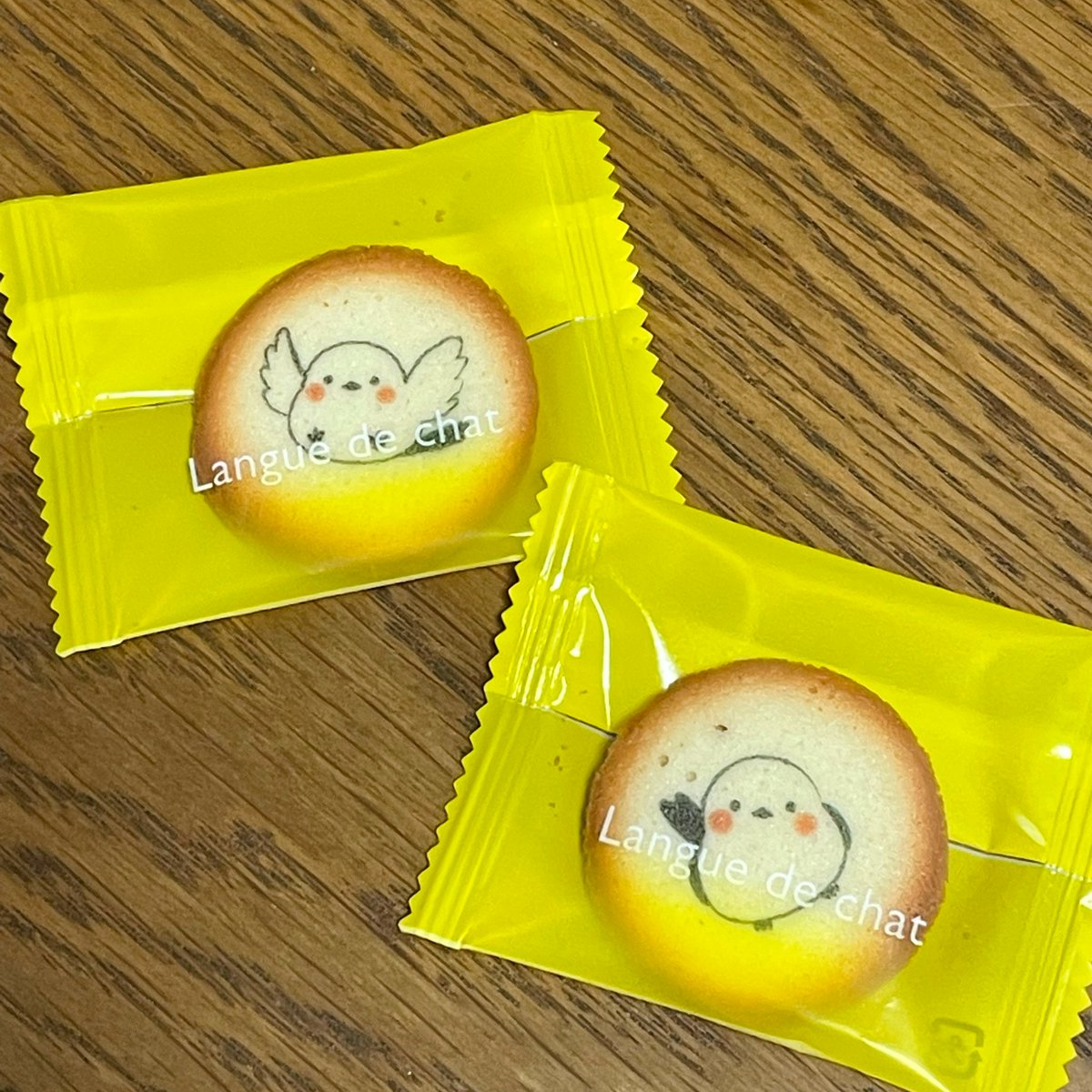 OgapiOgapi12's tweet image. 卒業制作チームで打ち合わせ。
インセプションデッキ作成するのも時間がかかります。
よぴぴさんからお裾分けいただいたシマエナガが可愛くて癒される♡
＃SUNABACO
＃たかまつ13th