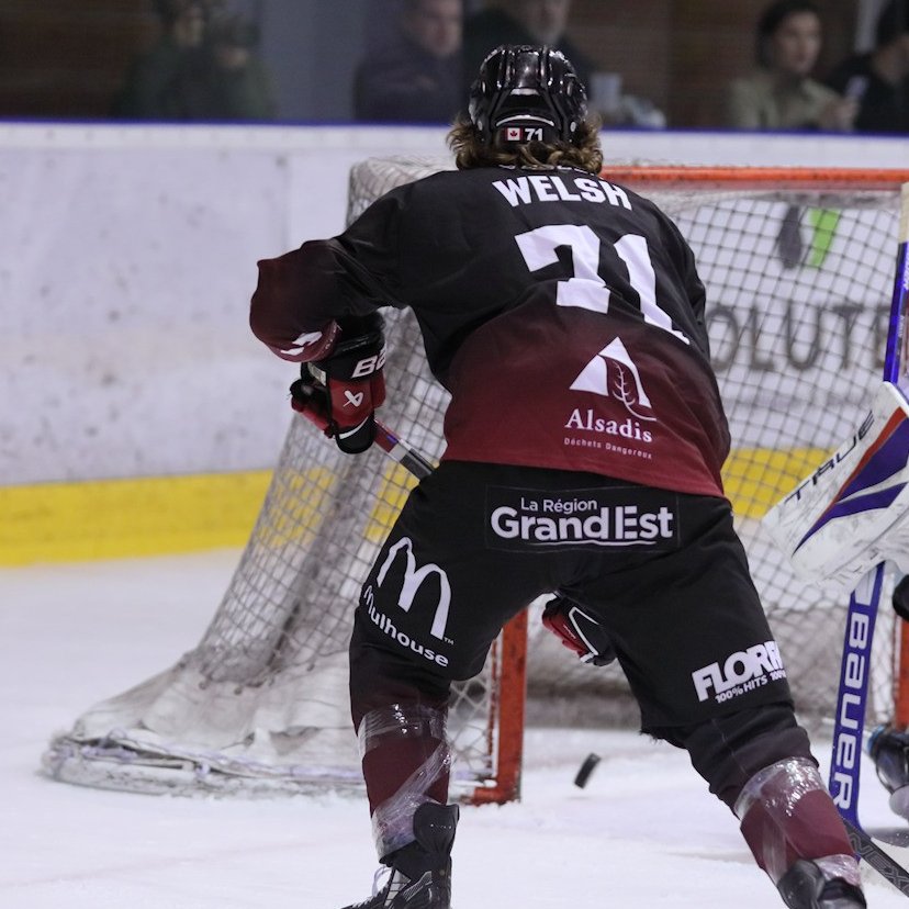 Synerglace Ligue Magnus tweet media