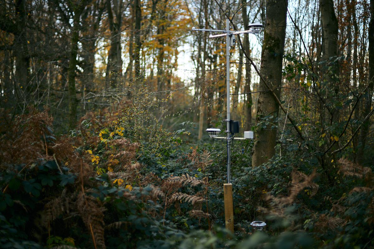 Dr Cecilia Dahlsjö (@cdahlsjo) on Twitter photo **********************Oxford-based people**********************
I am looking for 2 paid field assistants who can join my team in <a href="/WythamWoods/">Wytham Woods</a> in January.
***************Please contact me for more info*************** **********************Oxford-based people**********************
I am looking for 2 paid field assistants who can join my team in <a href="/WythamWoods/">Wytham Woods</a> in January.
***************Please contact me for more info***************