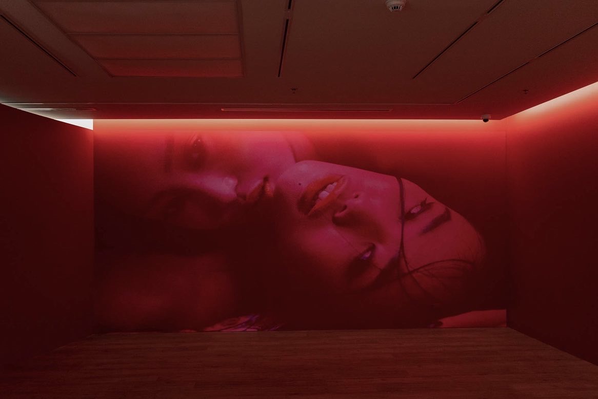 evemarisa tweet media