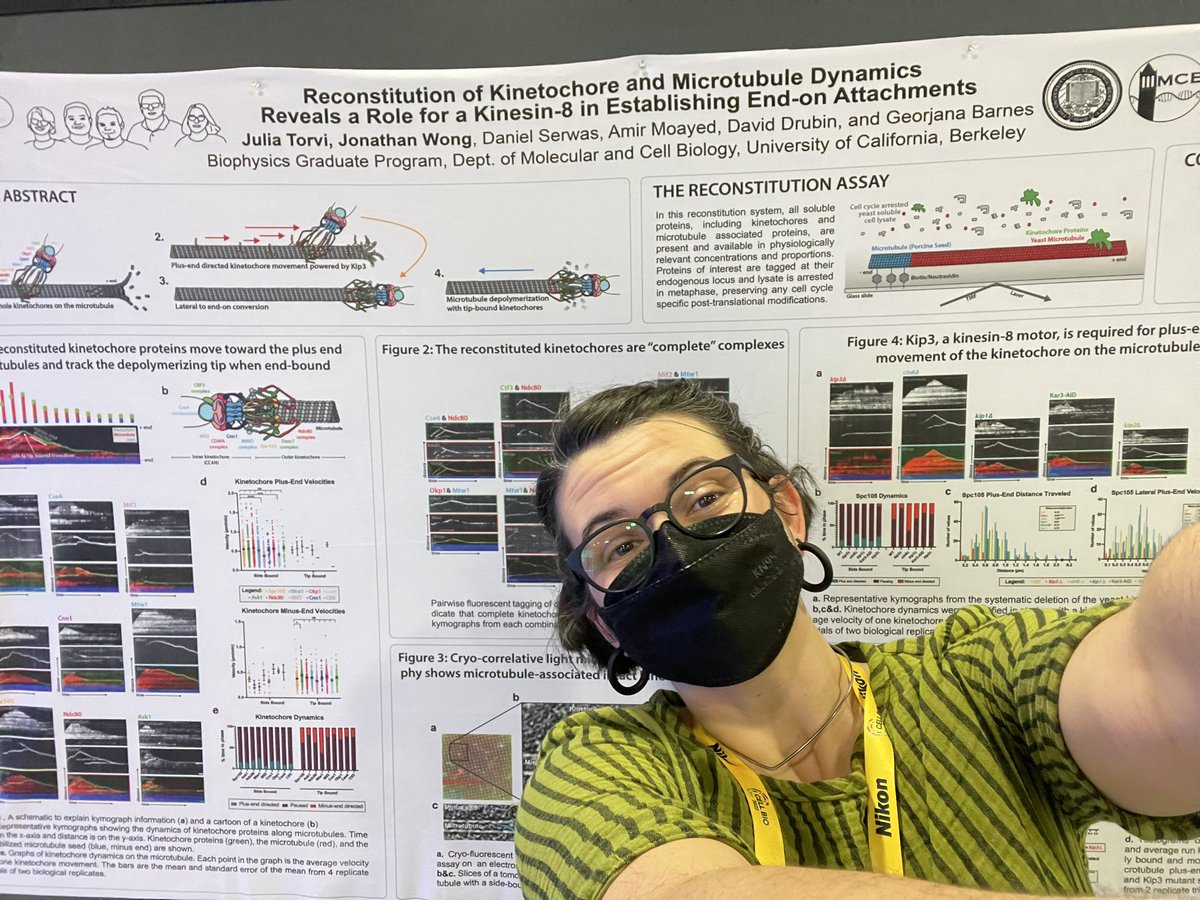 Julia Torvi tweet media