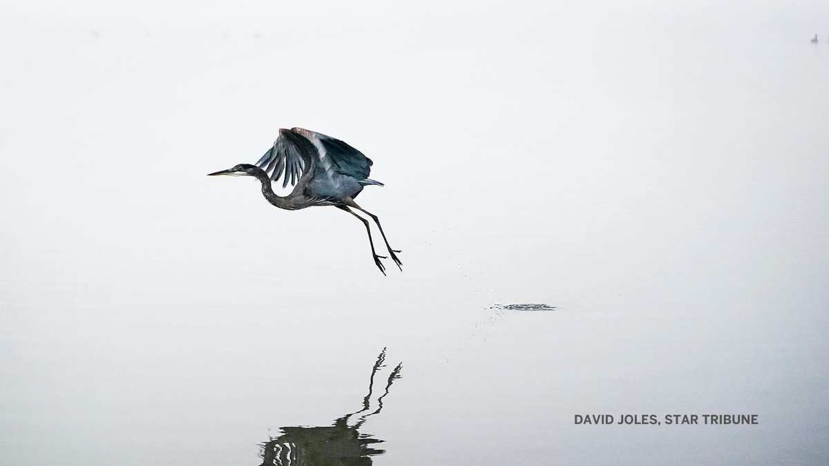StarTribune's tweet image. 📷 Photos of the year: From crazy weather to Suni Lee, take a look at some of the memorable moments captured by the Star Tribune's photographers in 2022. startribune.com/photos-of-the-…