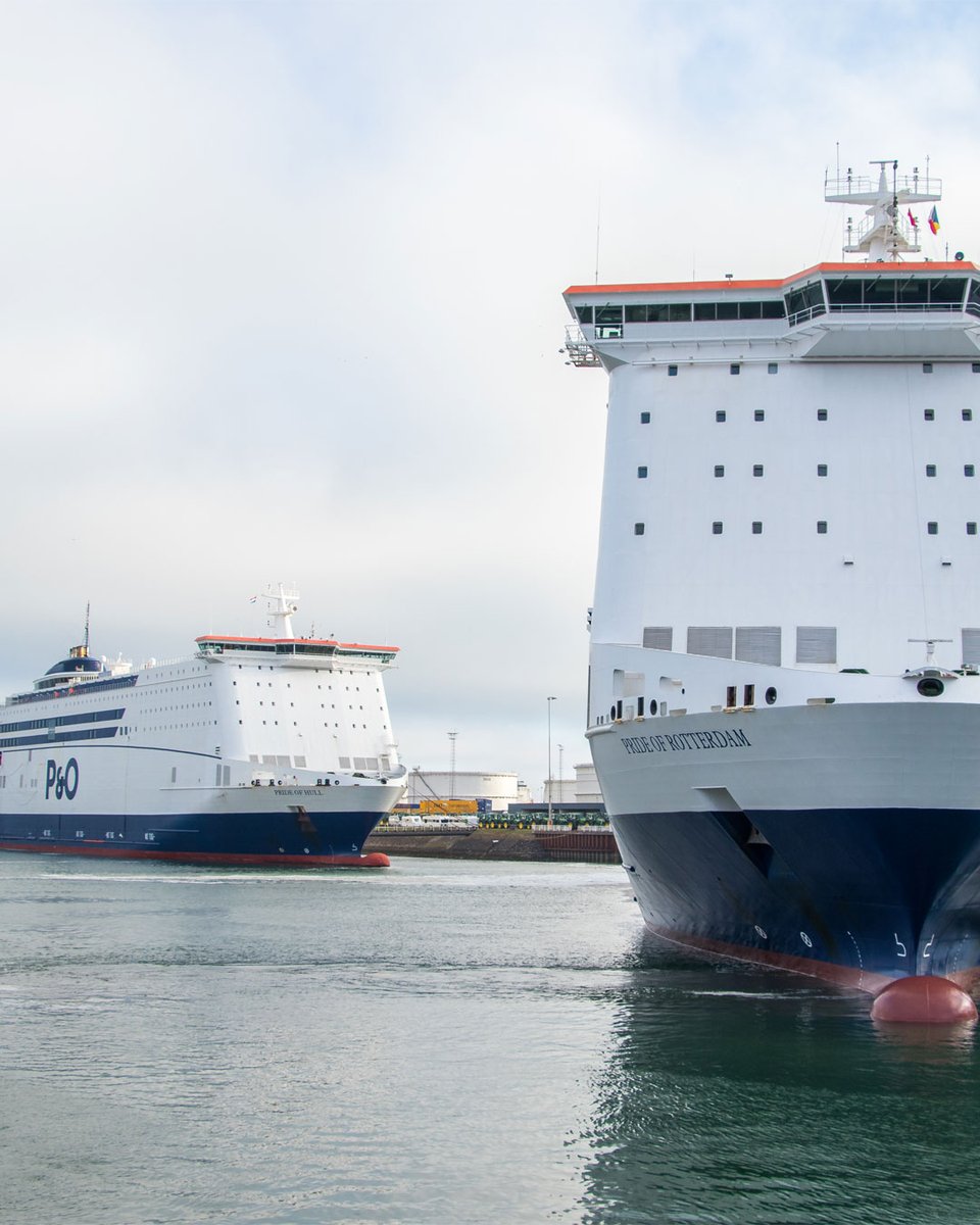 Can Dogs Travel On P O Ferries