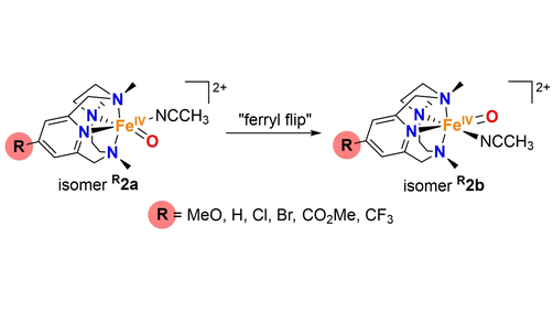 angew_chem's tweet photo. Characterization of a Ferryl Flip in Electronically Tuned Nonheme Complexes. Consequences in Hydrogen Atom Transfer Reactivity (Company) @IQCCUdG @PauBesalu @JoanSP @amalvarez98 @JosepmLuis @MiquelCostas @univcadiz @QBIScat_UdG @DIMOCAT_iqcc #openaccess https://t.co/FhHENPFunB https://t.co/kqikUoibgU
