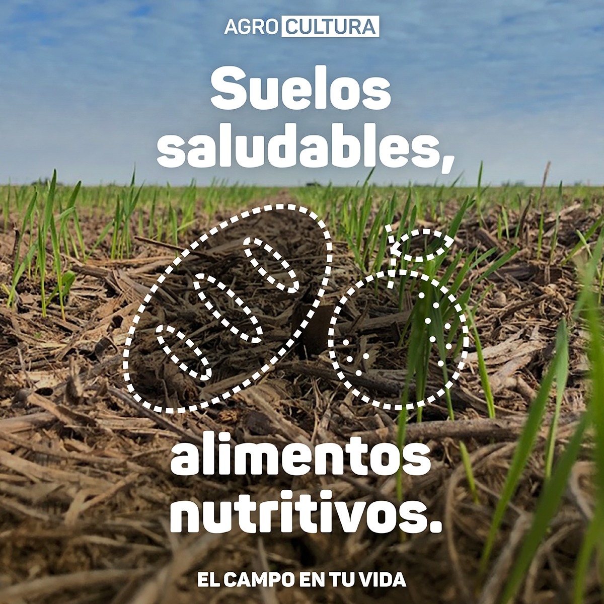 Con cada práctica sustentable, cada acción de cuidado del suelo, los agricultores traen a nuestras mesas alimentos más nutritivos 🌱En este #DíaMundialDelSuelo nos sumamos al lema de FAO y celebramos a los suelos como el origen de los alimentos #Soil4Nutrition #ElCampoEnTuVida