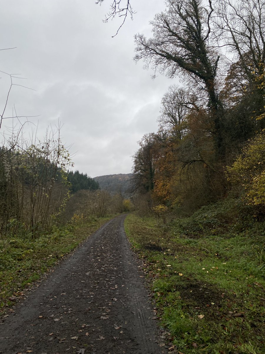 wyevalleywalk's tweet photo. Redbrook walk this morning! #walks #wyevalley #outdoors https://t.co/EXwSyXKdqj
