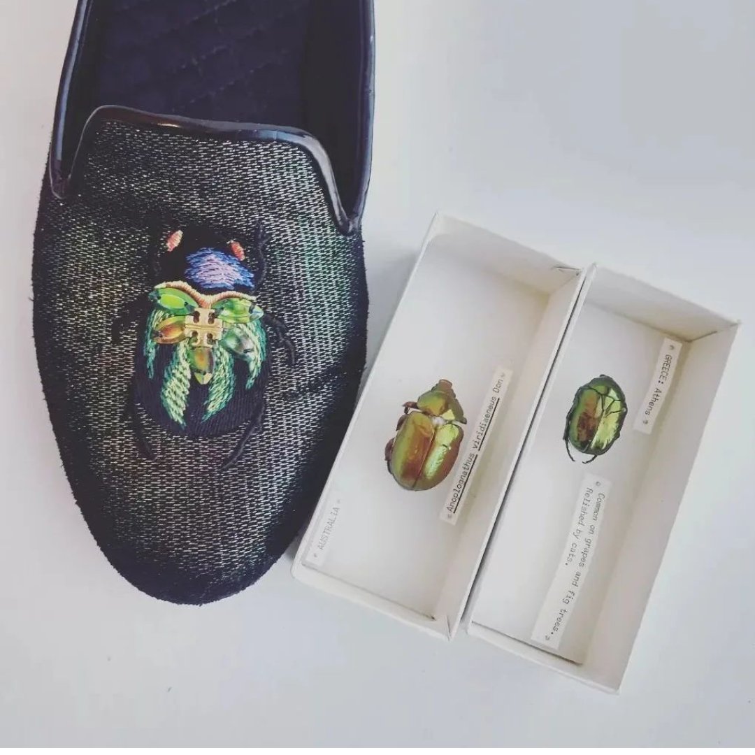 TBrosuis's tweet photo. When your shoes match the collection.... #entofashion #entomofashion #ToryBurch https://t.co/dPFm0Ao4eX