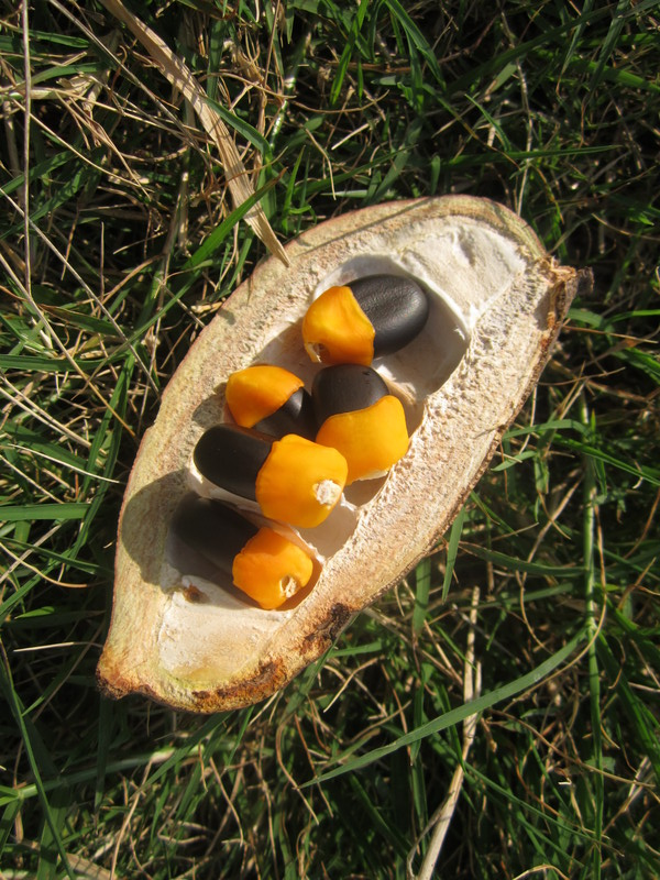 Feedipedia tweet media