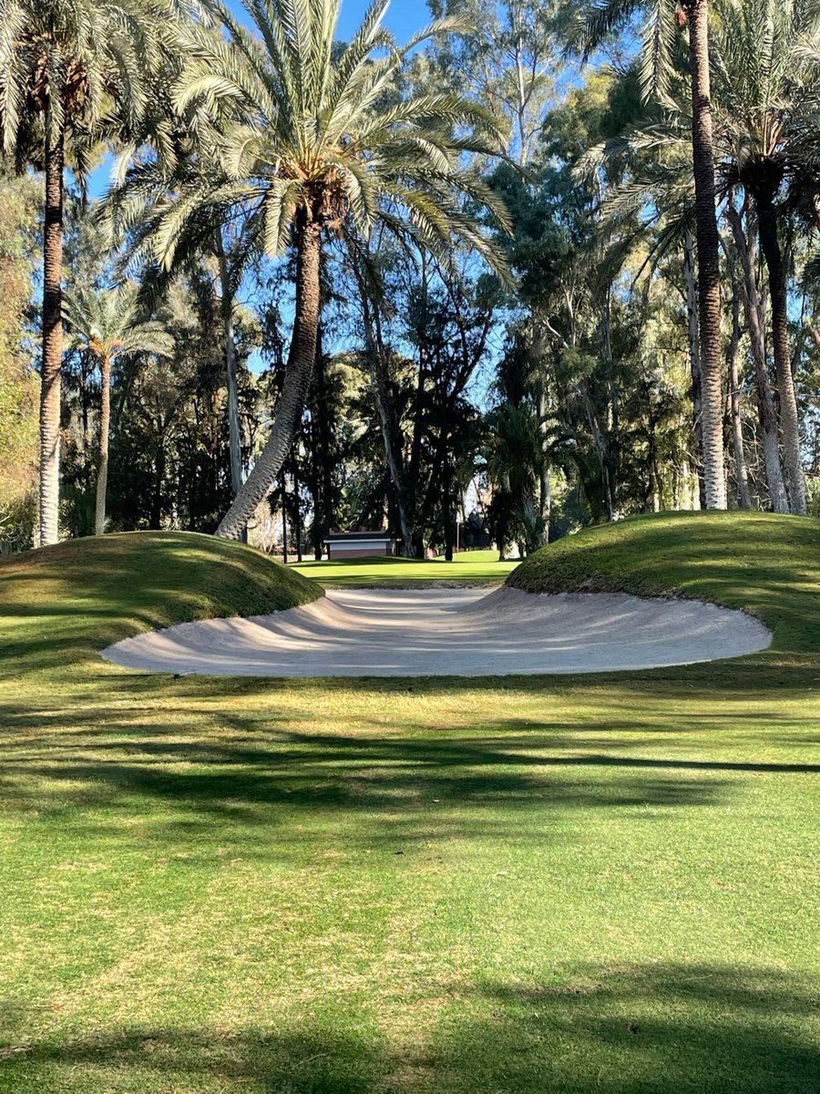 iFLGUK's tweet photo. @iFLGUK partner @LoizouLucy was thrilled to have won the @IAFL_FamLaw International Academy of Family Lawyers golf tournament Marrakech. A wonderful day with a great group of people. Thanks to Ken Altshuler & Thomas Sasser for organising #lawyers #iaflmarrakech #golftournament https://t.co/6At5JmMeSB