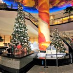 ツイートに含まれる画像