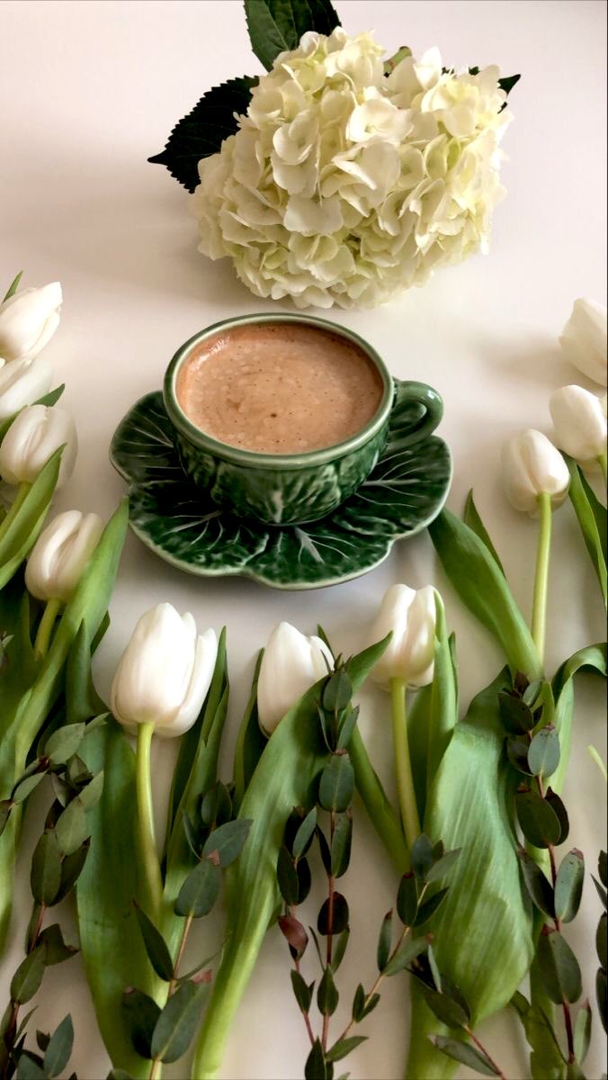 Mutlu Akşamlar ☕️🌷🤍