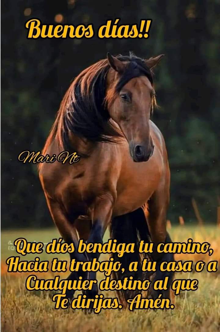 Norma Davila tweet media