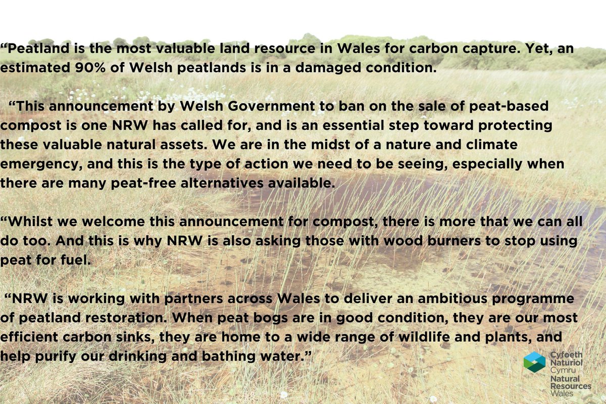 Cyfoeth Naturiol Cymru | Natural Resources Wales tweet media