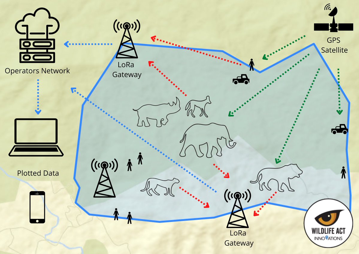 WildlifeACTInno's tweet photo. Thinking of setting up LoRa? We can help you. Get in touch with us at sales@wildinno.com to find out more. 
@wildlifeact #LoRawan #LoRa #network #technology #wildlife #tracking #endangeredwildlife https://t.co/86vvSjQC0Y