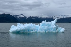 cities_iot's tweet photo. Could IoT and reliable mobile coverage be the antidote to climate change? 
#IoT #climatechange
https://t.co/vtc7dl5ZtE https://t.co/E2w1UyQIoF