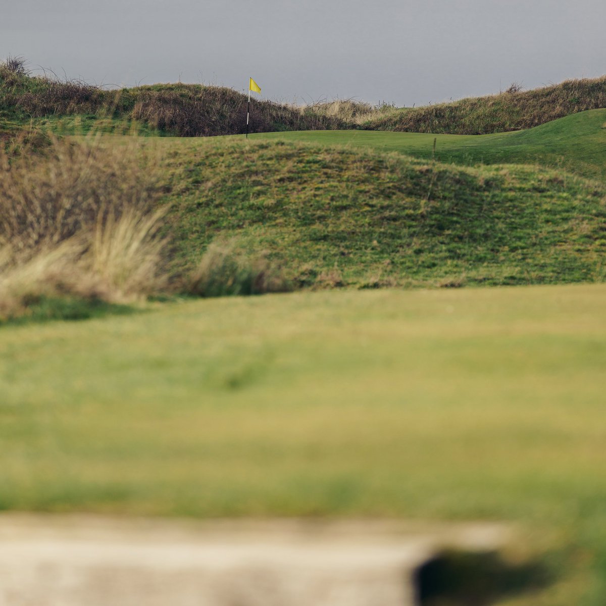 Nothing better than a crisp Monday morning out on the links.👌

#golfcoursearchitecture #golfcoursedesign #linksgolf #golfcourselife #golfcourseview #top100golfcourse #burnhamonsea #somersetlife