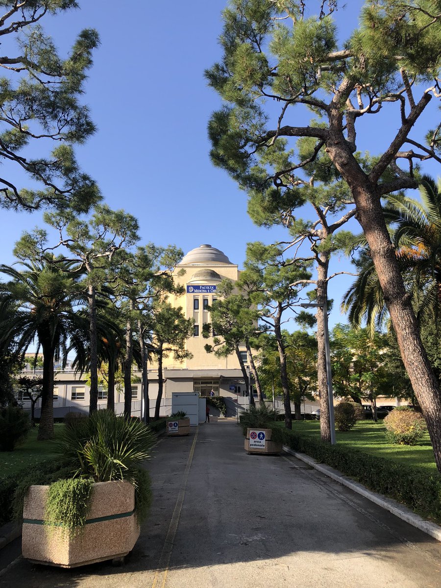 Starting an amazing week of research and teaching, consolidating a great collaboration <a href="/NorthumbriaUni/">Northumbria Uni</a> Università di Bari “Aldo Moro” <a href="/g_cicolini/">giancarlo.cicolini</a> #TakeOnTomorrow