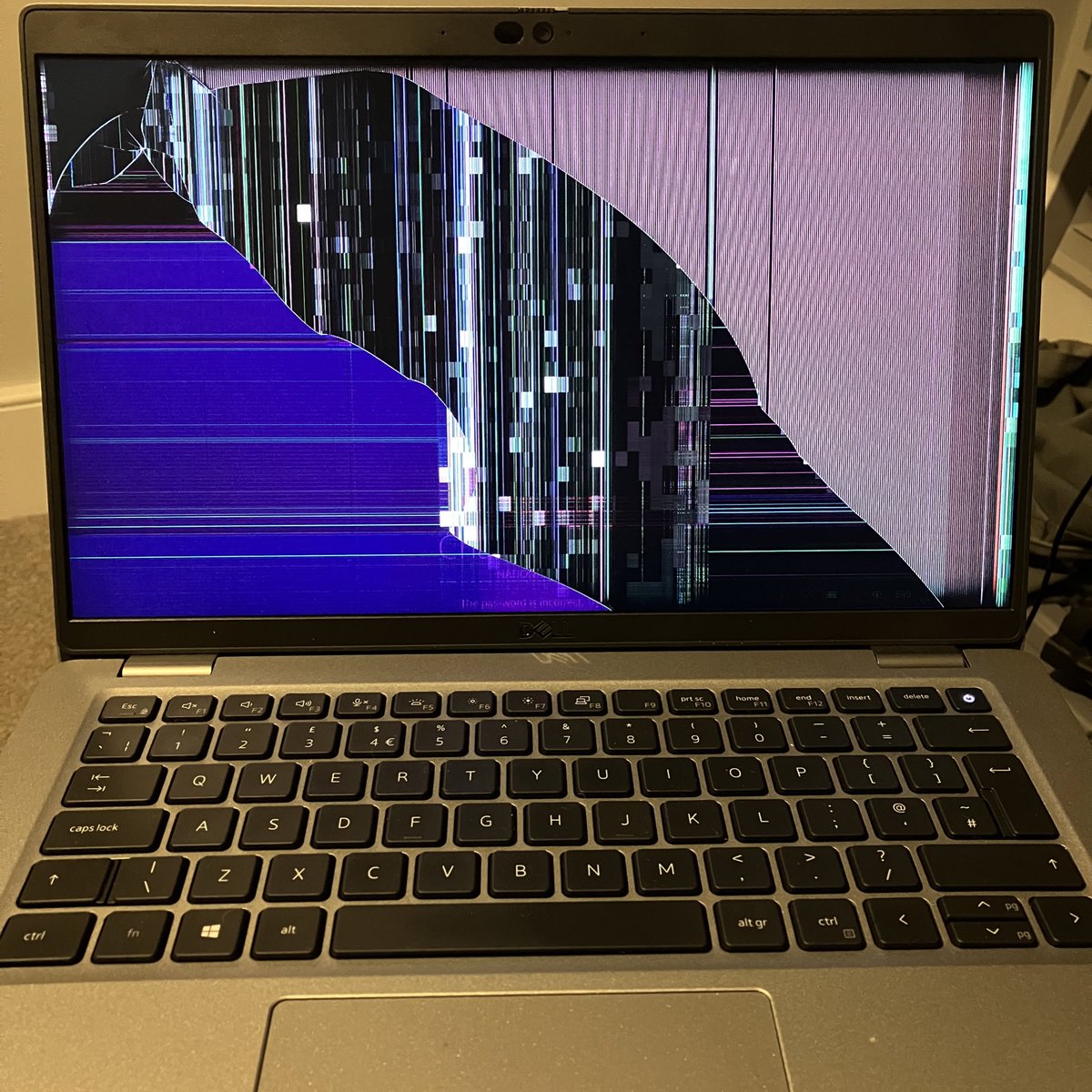 charlotte smith tweet media