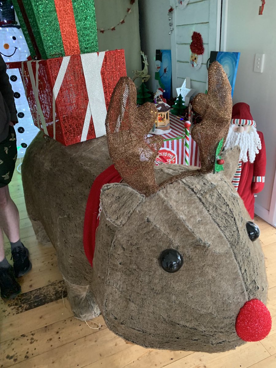 saffyishere's tweet photo. Just got home from taking my #littlebandicoot to see a house decorated for Christmas. The highlight was this fabulous wombat #firstxmas https://t.co/yGUPe8YiU1