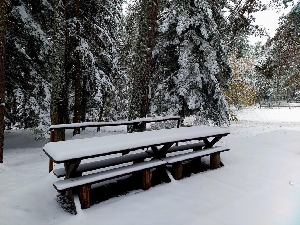 ParcoAlpiLiguri's tweet photo. 𝘼𝙡𝙥𝙞 ��𝙞𝙜𝙪𝙧𝙞 𝙞𝙢𝙢𝙖𝙘𝙤𝙡𝙖𝙩𝙚 ❄️
#imperia #liguria #pigna #collemelosa #monesi #alpiliguri #parcoalpiliguri #nevicata
[Nelle foto: Monesi; Sella di Goula; Colle Melosa.] https://t.co/WkZr9IfUeA