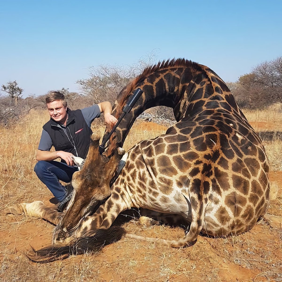 Campaign to Ban Trophy Hunting tweet media