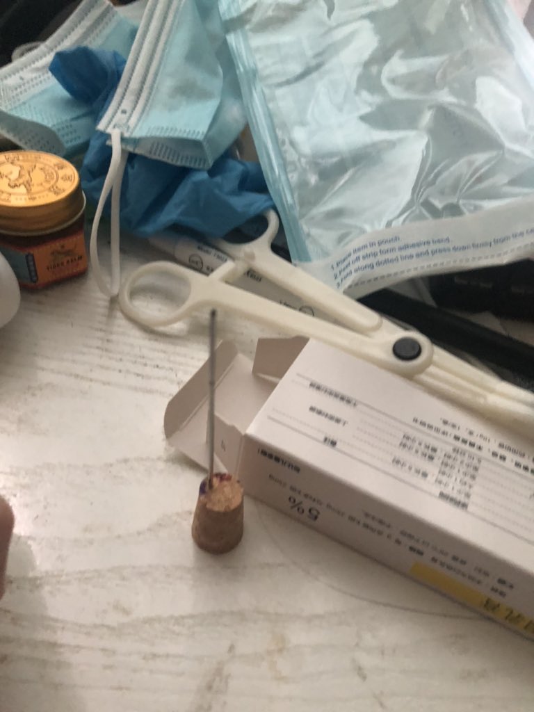 昨天晚上试了穿孔(乳
打了麻药意外的不痛，感觉挺有意思回头把过程画起来好了。
(需要放五天消毒，才能再替换。