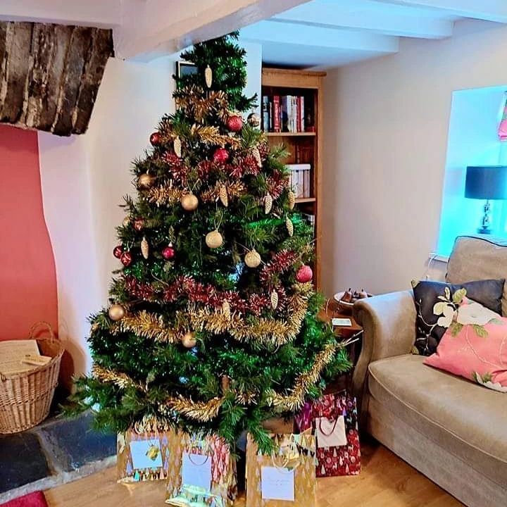 WoodsideCottage's tweet photo. Christmas 🎄 tree up at Woodside. Lots of wonderful guests staying over the next few weeks ,but we are taking bookings for 2023 if you have missed out this year. Get InTouch. Info in the bio
#holidayintheuk #lakedistrictnationalpark #lakedistrictuk #dogfriendlyholidays #dogfr… https://t.co/YmG8tSDhgj