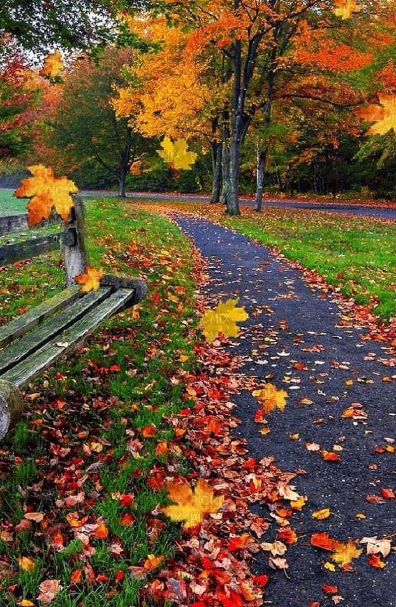 rr2433107's tweet photo. Happy New Week!! 🧡💚🧡 https://t.co/J0e9bQFcmf