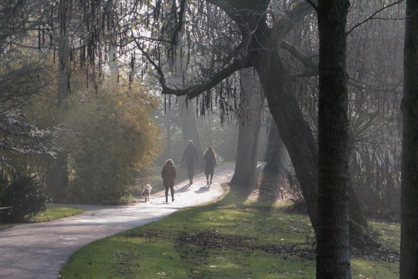 Cultuurzien's tweet photo. Wandelen door het Stadspark in het prachtige licht van vrijdag 2 december. ca. 12.00 uur.
#kampen #stadspark #winterlicht #heiig https://t.co/LqVp36Jvcr