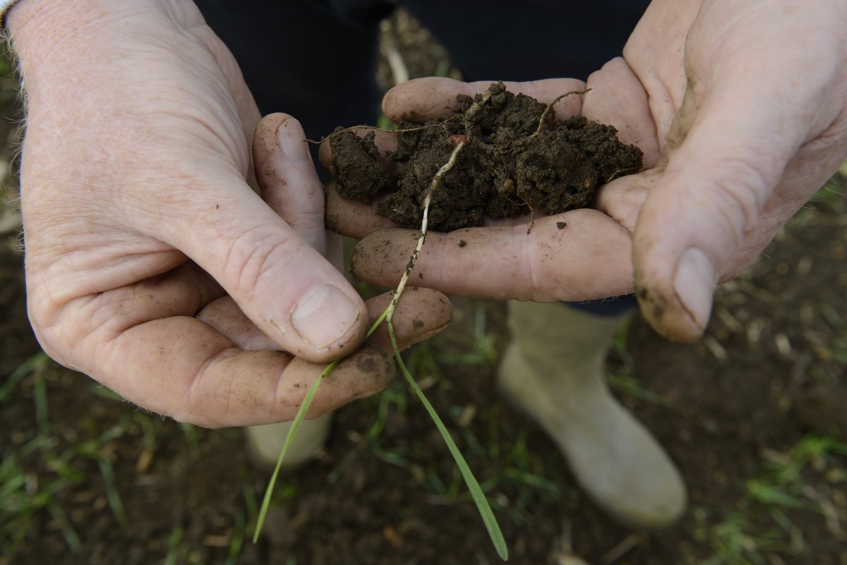 FrontierAg's tweet photo. 1/2 Although #SoilFunction is 1 of 7 key focus areas in our #sustainablecropproduction model, also it feeds into & directly influences many other factors that contribute to building resilient, healthy, sustainable farming systems. #Soil is a farm’s greatest asset! #WorldSoilDay https://t.co/bA3I2bXrT8