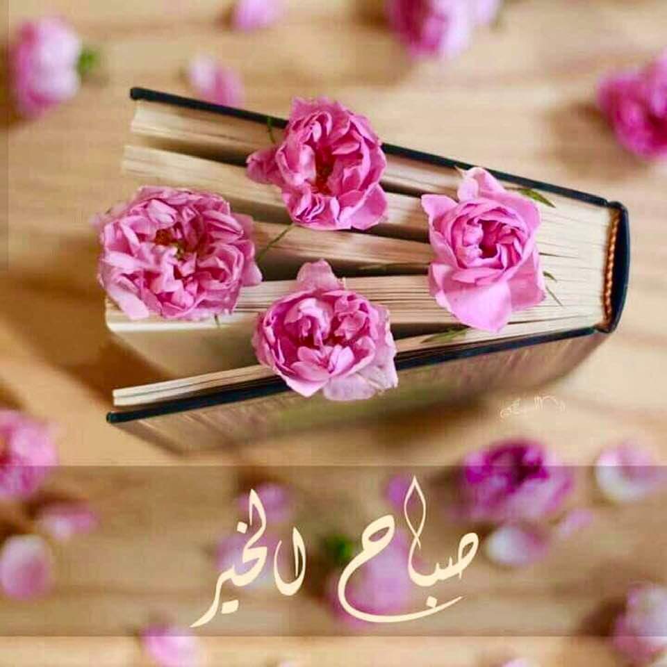 AssmarAssmar's tweet photo. 10452 بونجور لأحلى وأجمل رفاق وأصدقاء🥰😍😘 https://t.co/1pnM43p4by