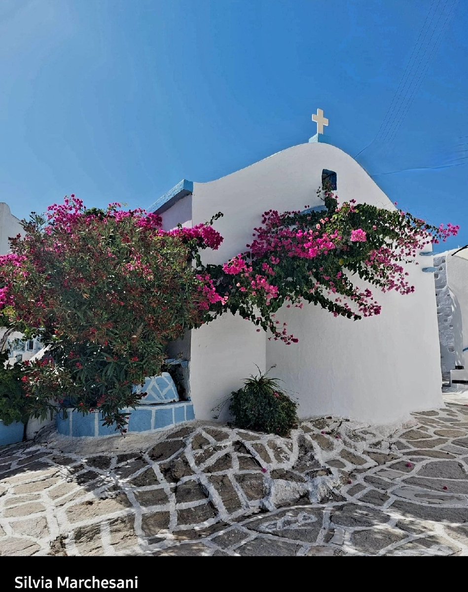 reviews_fusion's tweet photo. Γεια σας, θα ήθελα να σας προσκαλέσω στη νέα δωρεάν διαδικτυακή πλατφόρμα επικοινωνίας της Global Hellenic Diaspora!!
Για να συμμετάσχετε κάντε κλικ ή copy/paste στο: https://t.co/2j99IXjKor

Με εκτίμηση 
Αναστάσιος Μίχος https://t.co/Jc32L283n0