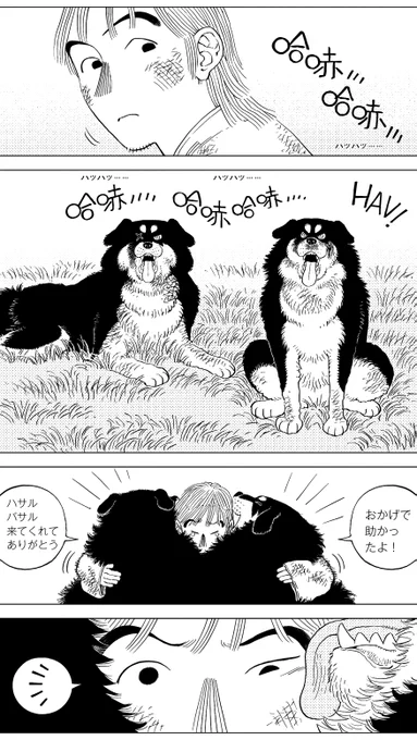 「銅(あかがね)の百尺口」(31/34)
可愛い犬に戻ったハサルとバサル。彼らが噛み殺した妖怪狼の死体から煙のようなものが上がっていき……
#漫画が読めるハッシュタグ #中国漫画 #草原志怪 