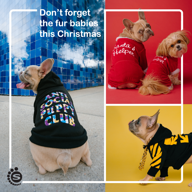 SytechSupplies's tweet photo. 🐕‍🦺🐈‍ Tis the season for fur babies as well! Heat transfer onto pet wear. https://t.co/gZIbaGuxZf