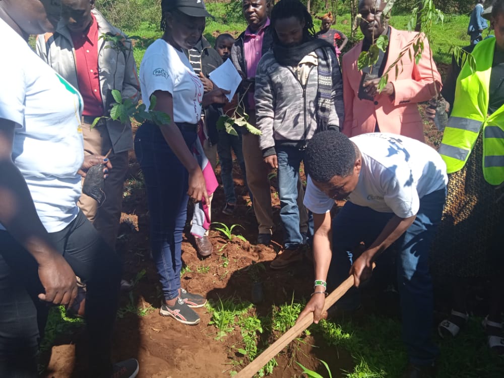 PACJA1's tweet photo. #PACJA continues to engage local communities to catalyze #ClimateAction to ensure they rehabilitate the natural environment &amp; in turn promote sustainable development. Tree planting in Igembe South in collaboration with @kenya_climate, and @NETCARE16, this past weekend. #5BTreesKE https://t.co/1yaaApcdG5