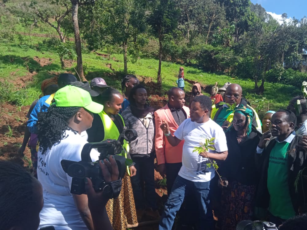PACJA1's tweet photo. #PACJA continues to engage local communities to catalyze #ClimateAction to ensure they rehabilitate the natural environment &amp; in turn promote sustainable development. Tree planting in Igembe South in collaboration with @kenya_climate, and @NETCARE16, this past weekend. #5BTreesKE https://t.co/1yaaApcdG5