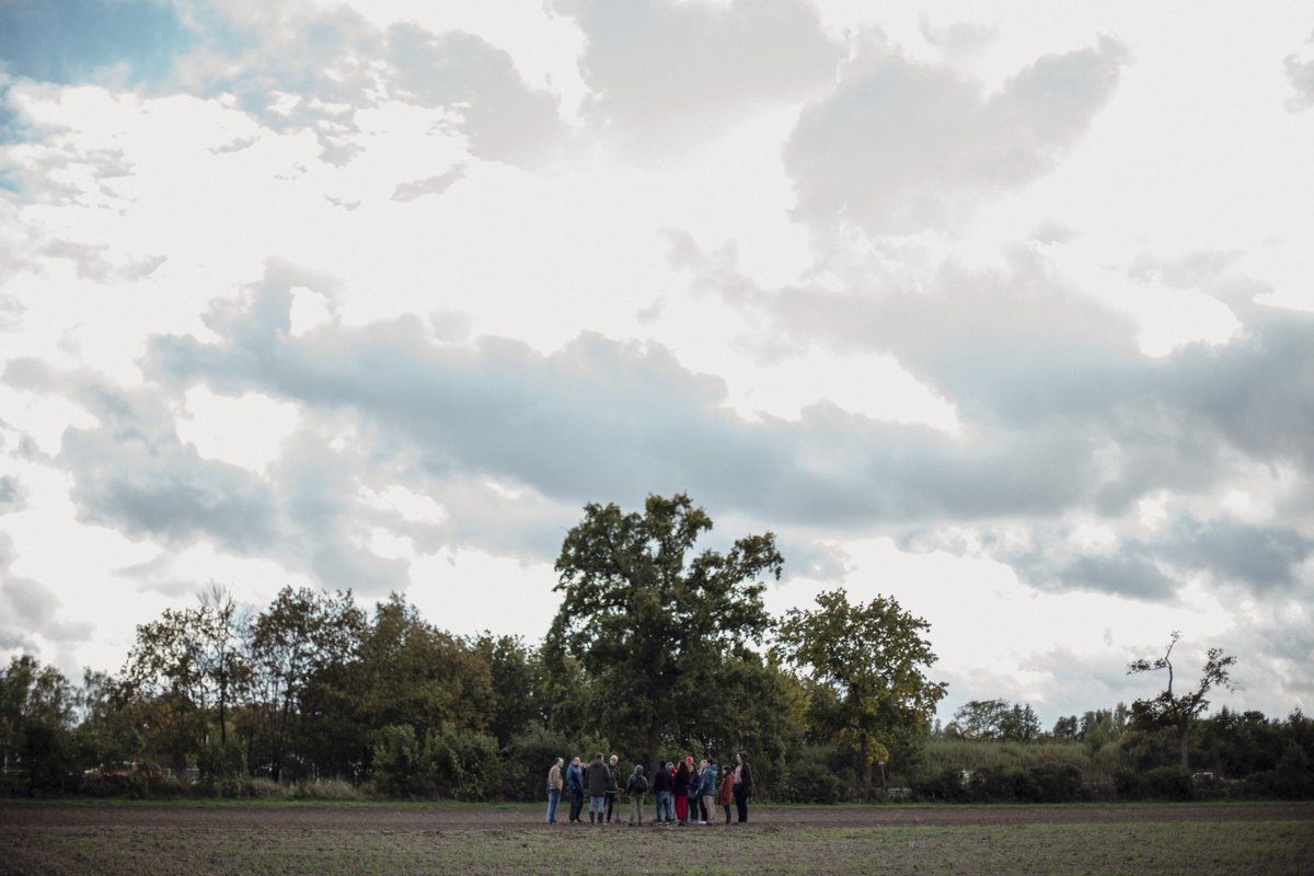 Did you miss our newsletter of November? Don’t worry, click on the link below, and know more about the last activities of #CircularAgronomics for a more #sustainable  #nutrients and #carbon management in #Europe. 
👉bit.ly/3HeUOVc