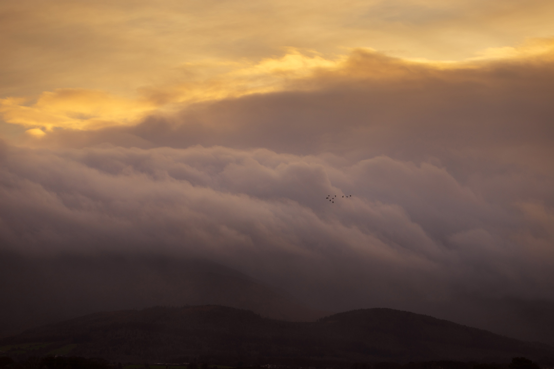 naomi_savage's tweet photo. #landscapephotography #landscape #canon6dmarkii #canon #canon70200f4l #canon70200f4 #northernireland #northernirelandphotographer #mournemountains #mourne #sunsetphotography #sunsetcaptures #cloud #cloudcapture #irelanddailyphoto #irelanddaily #explorelandscape #photography https://t.co/w2QckbVpwu